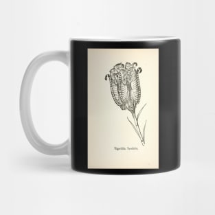 Funny Fictional Tigers on Plants Plant Lover Nonsense Botany Plant Taxonomy Mug